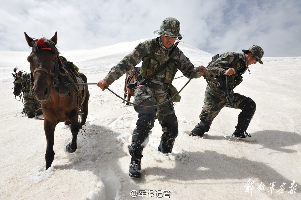 阴阳师平民必练式神 阴阳师平民玩家式神推荐 零基础起号教程  