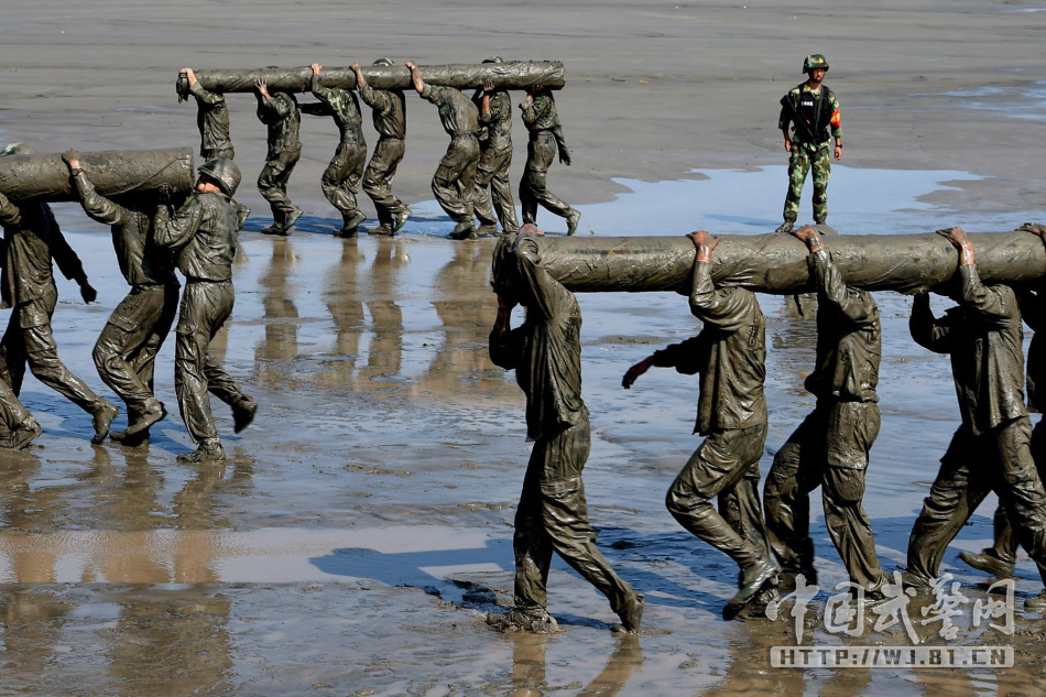 养羊怎么才能养好？做什么才能养好羊？养殖经验告诉你 